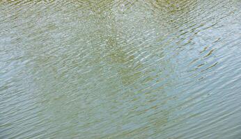 Water surface at sunset, ripples of river or ocean with small waves, calm and close-up. Abstract background, texture. photo