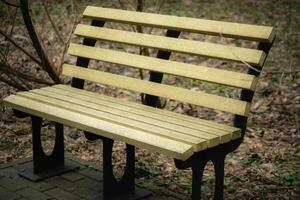 Eco-friendly bench in a serene outdoor setting photo