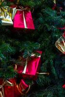 A tree with red boxes on it photo