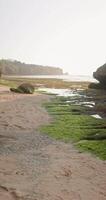 Walking first view person on beach coastline on sunny day with evening warm tones. Vertical footage video