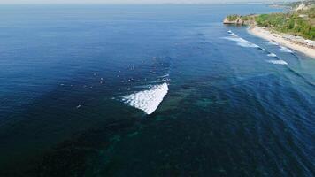 Surfers ocean and crashing waves. Aerial view with surfing on wave and beach. video