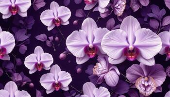 Vibrant Orchids and Floral Patterns on Dark Purple Background photo