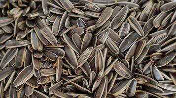 Raw sunflower seeds close-up. A detailed close-up of raw, unpeeled sunflower seeds. The image shows a textured surface and natural pattern, ideal for illustrating healthy snacks, seeds. photo