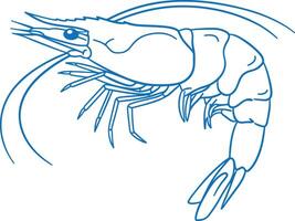 Minimalist Shrimp Illustration with Clean Lines and Modern Design, vector
