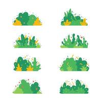 Set of Bushes and Grass Illustrations Natural and Peaceful Greenery vector