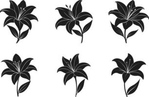 Elegant Lily Flower Silhouette Set for Spring and Floral Design vector