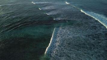 Aerial top view of powerful dark ocean waves crashing with white foam video