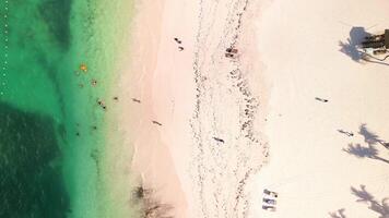 Aerial top view of bright sunny day illuminates tropical beach luxurious resort. People seen swimming and sunbathing on beach, which dotted with palm trees and lounge chairs under thatched umbrellas video