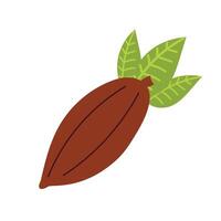 Cocoa bean, organic chocolate ingredient, natural cocoa pod, chocolate production element, tropical fruit. Flat illustration isolated on white background. vector