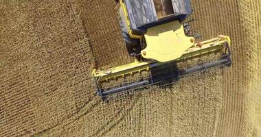 Combine harvester cutting ripe wheat crop from aerial view 3 video