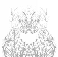 A black and white illustration of a tree with branches and birds vector