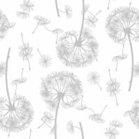 A white and gray pattern with dandelions vector