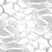 A black and white drawing of a pattern vector