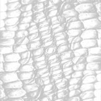 A white background with a black and white image vector