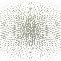 A white background with a large number of small dots vector