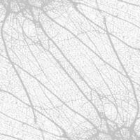 A white and gray pattern of leaves vector