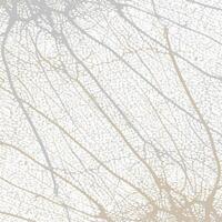 A white and gray background with a leaf pattern vector