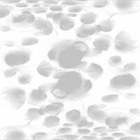 A white and gray background with many circles vector