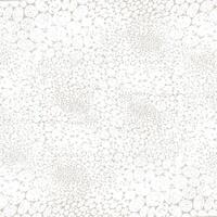 A white and gray background with small dots vector