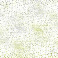 A white and green pattern with dots vector