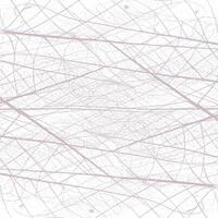 A white background with a bunch of lines vector