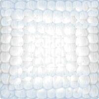 Corn cob background vector