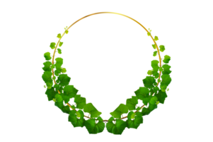 Circle Frame vine frame leaf vine circle Isolate on transparent background file png