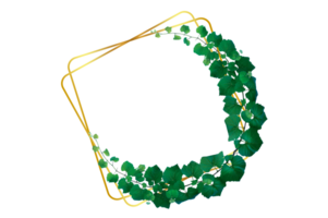 Square Frame vine frame leaf vine circle Isolate on transparent background file png