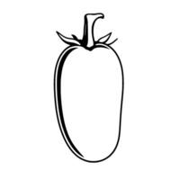 Simple Line Drawing Of A Single Tomato vector