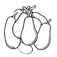 A Cluster Of Hand-Drawn Pears Simple Line Art vector