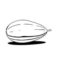 Simple Line Drawing Of A Single Melon Fruit vector