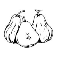 Three Pears A Simple Line Drawing Of Juicy Fruit vector