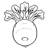 Simple Line Drawing Of A Turnip With Leaves vector
