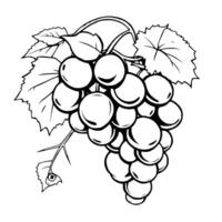 A Single Bunch Of Grapes With Leaves Line Art vector
