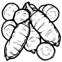 Hand-Drawn Illustration Of Fresh Carrots And Carrot Slices vector