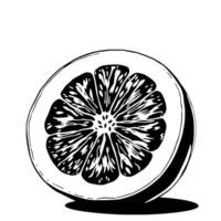 Stylized Black And White Illustration Of A Grapefruit Slice vector