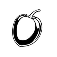 Simple Line Drawing Of A Single Bell Pepper vector