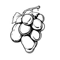 A Single Bunch Of Grapes Black And White Illustration vector