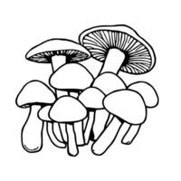 Cluster of Hand-Drawn Mushrooms in Line Art Style vector