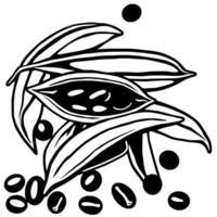 Stylized Illustration of Cacao Pods and Beans vector