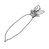 Line Drawing Of A Single White Radish With Greens vector