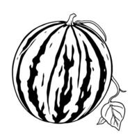 Black And White Illustration Of A Watermelon With Leaf vector