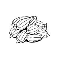 A Pile Of Striped Gourds A Simple Line Drawing vector
