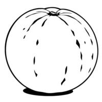 Simple Line Drawing Of A Single Round Orange Fruit vector