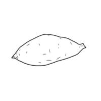 Simple Line Drawing Of A Single Sweet Potato vector