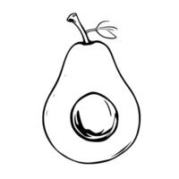 Halved Avocado Illustration Simple Line Drawing Of A Ripe Fruit vector