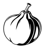 Single Black And White Fig Illustration Isolated vector