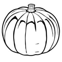Simple Line Drawing Of A Whole Pumpkin vector