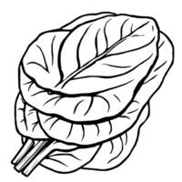 Fresh Green Spinach Leaves Stacked Ready To Eat vector