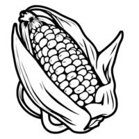 An Illustrated Ear Of Corn In Its Husk Detailed Line Art vector